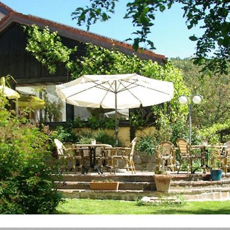 Hotel "Die Kupferpfanne" 多瑙斯陶夫 外观 照片